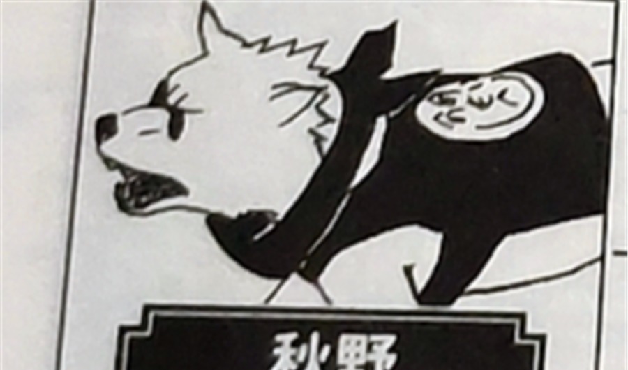 小樱|卡卡西的八忍犬都叫什么名字?帕克让小樱抓狂,阿基诺时刻戴墨镜