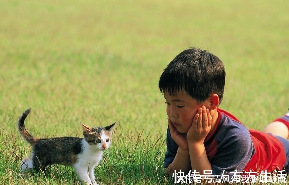 甲壳虫|孩子的这些怪癖行为，往往是“高智商”的种子，扼杀掉就太可惜了