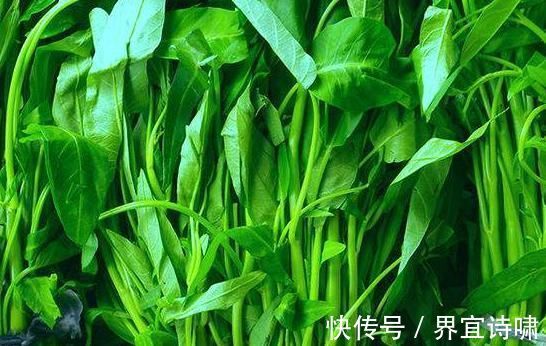 空心菜|长寿都是“吃”出来的！常吃3种食物，暖胃健脾还抗癌，好处多多