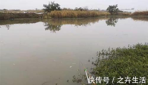 冬季钓鲫鱼，宜小不宜大，为啥钓场也要选小？