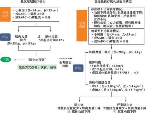  千金难买的老来瘦？No! 营养专家悄悄告诉您，存钱不如存肌肉