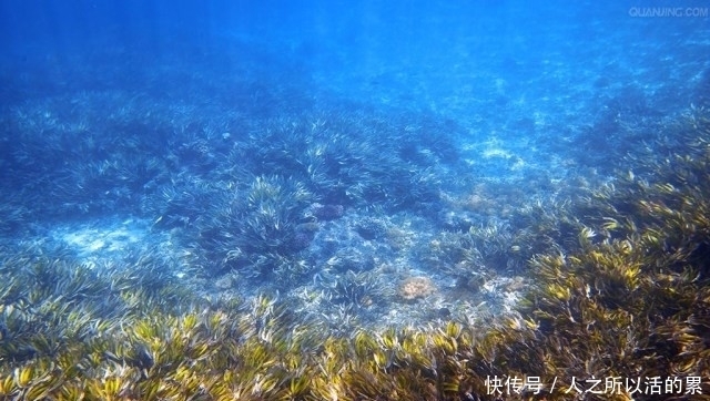 海岛|一路向北，总有一个海岛适合你！