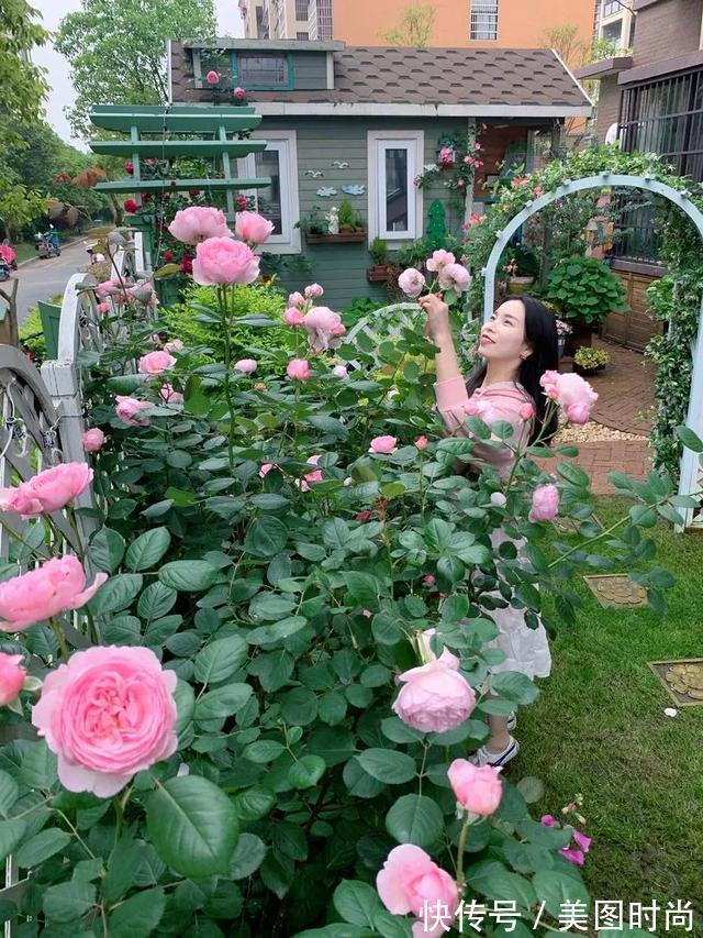 黄先森|3年前,他买了一栋带花园的小洋房,为她打造了一个童话般的花园