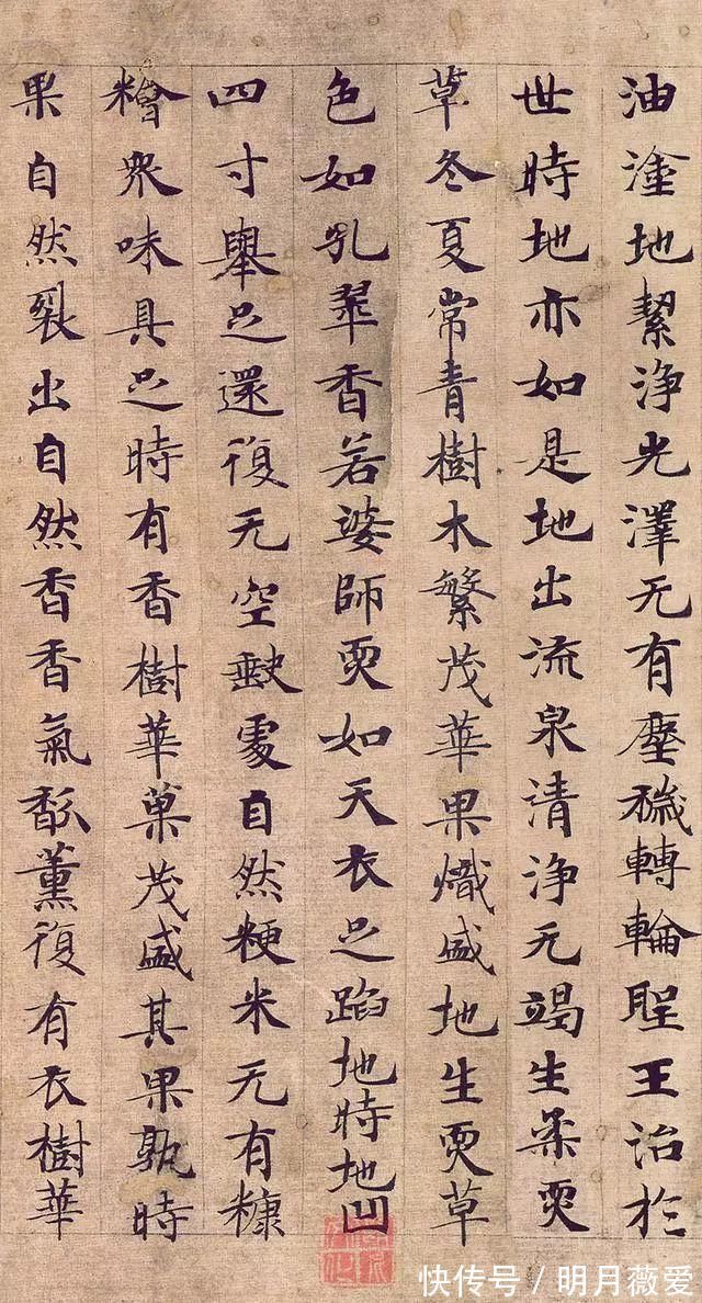 小楷|《转轮圣王经》，天下第一小楷《灵飞经》的姊妹篇