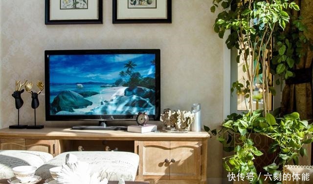 适合客厅养的三种花,寿命长寓意好,养护很简单!