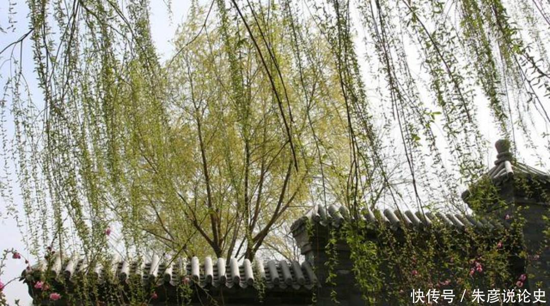 故乡|孤独的诗人写下一首思乡之作，无一字不伤感，无一字不忧愁