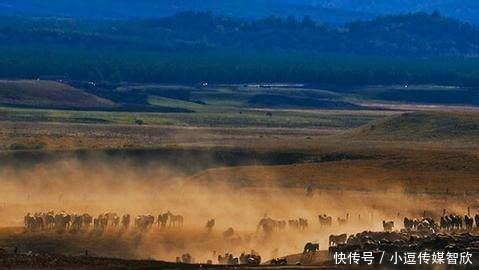  皇帝|陆游，打皇帝和权臣的小报告，屡遭罢免