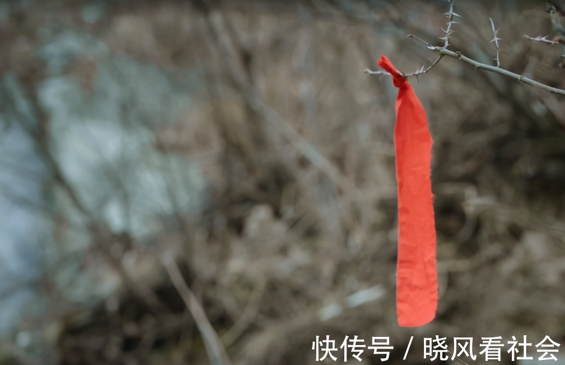 年度最佳综艺纪录片,钟汉良重走长征路,在雪山上致敬先辈