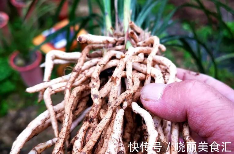 养花基本要求:浇水前后,不注意这些地方,真的要吃亏