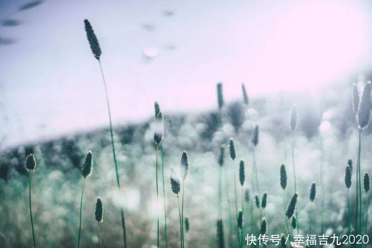 一位南宋文坛巨匠的素食观:这是一种养生妙法