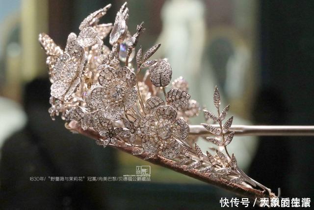 康乃馨|每个女人心中都有一个冠冕,遇上这些美丽奢华的皇冠,谁还走得动