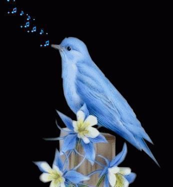 人心&良言20句,见证人心,看透人性看一次胜读十年书