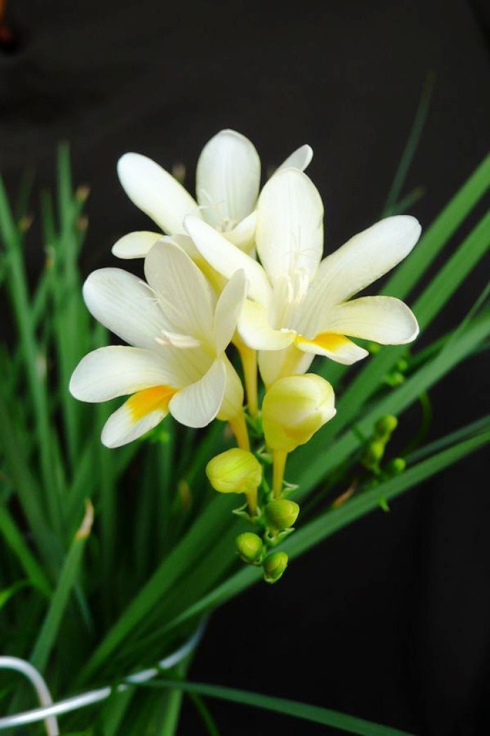 睿智!让人受用一生的句子,深刻睿智,受益匪浅