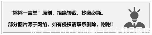 网易|“华为的自动驾驶比特斯拉好很多。”绝不可能！网易论坛炸锅了