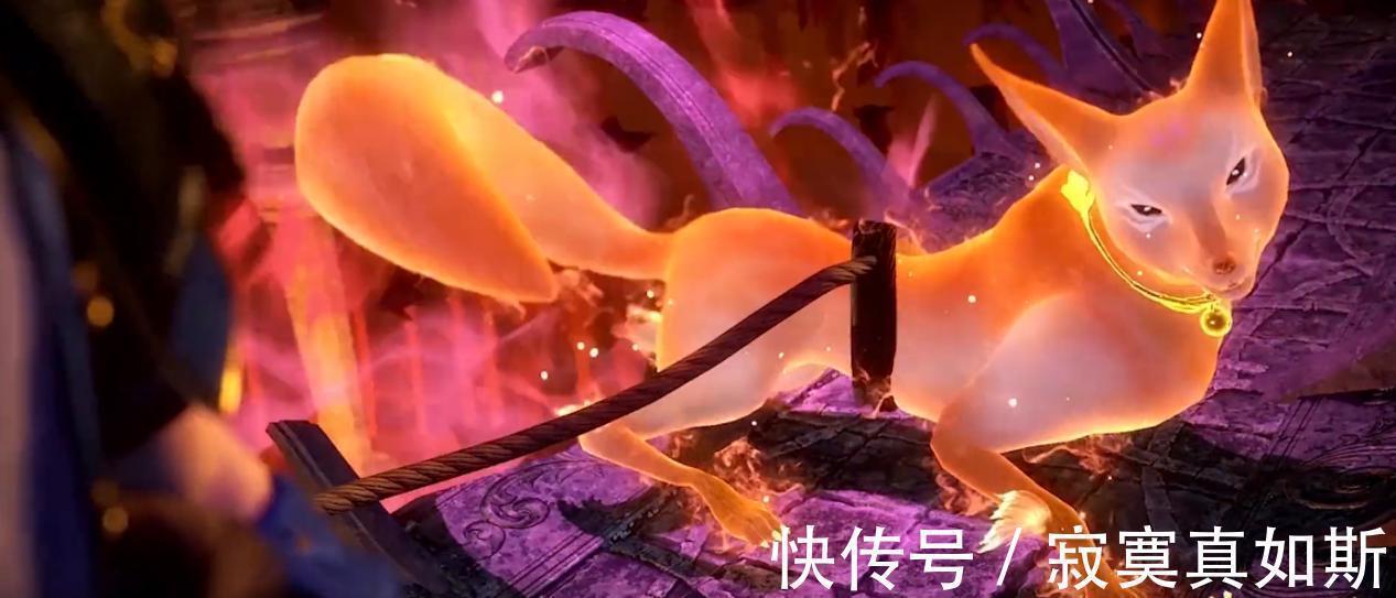 捆绑游戏|斗罗大陆:胡列娜和唐三居然玩起捆绑游戏,网友:唐三太会玩了!