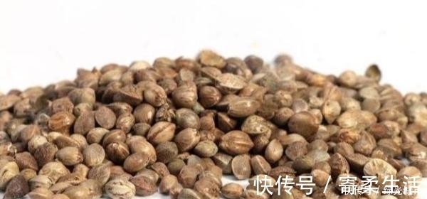 本草备要|便秘吃什么通便最快?吃这些比吃药更有效,肠胃都被“打通”了