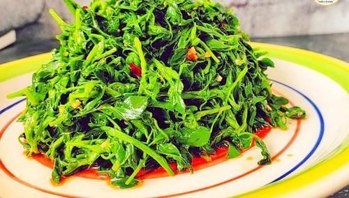 陈醋|“头茬赛人参”,此菜春季吃正当时,清香鲜嫩,营养美味