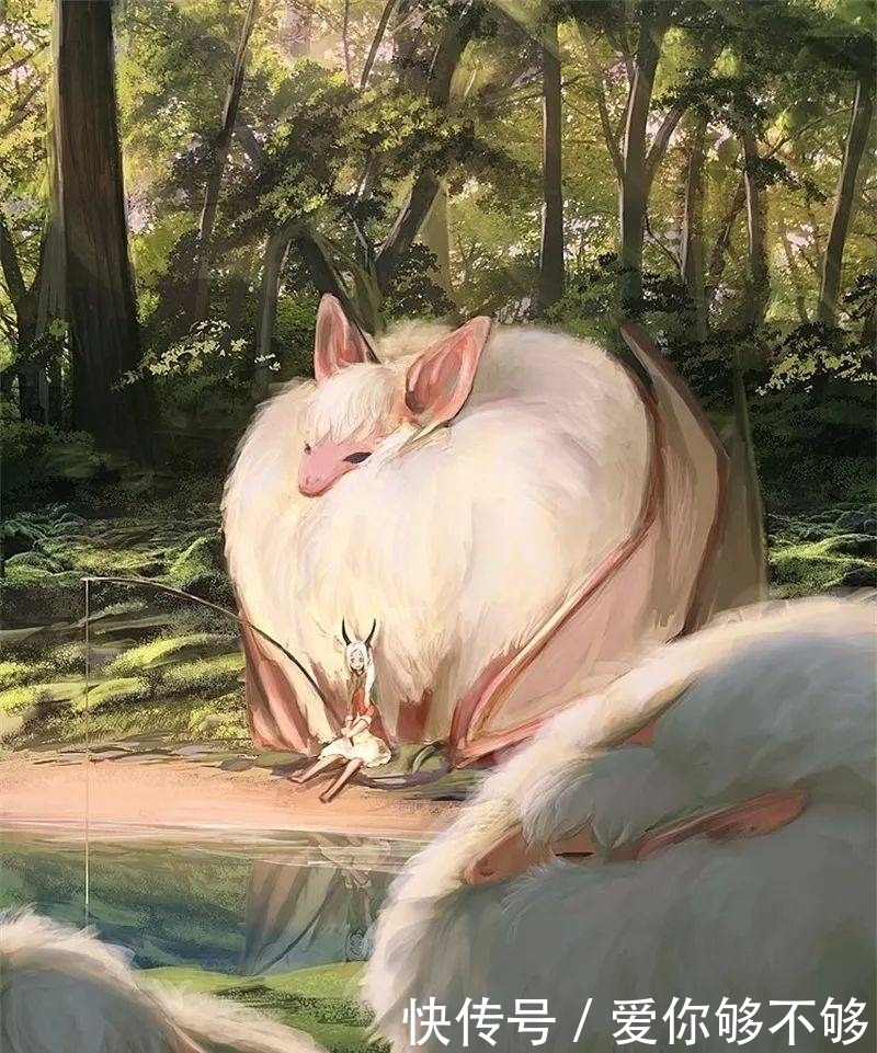 插画|三组各具特色的动物插画,看完很治愈~