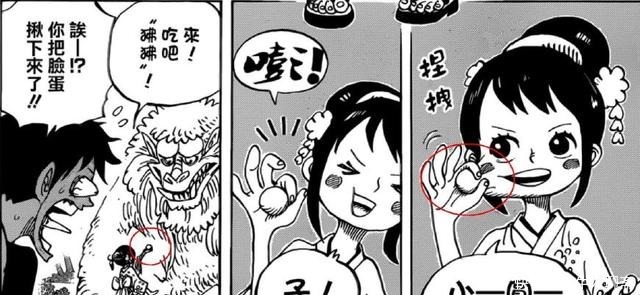 路飞|海贼王911话情报新角色出现,能力是路飞最爱,路飞会让她上船