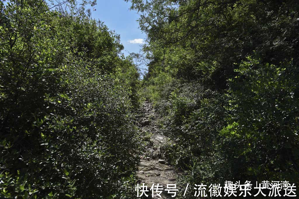 虞公|3000年前人工开凿一条小道穿越中条山，向中原运送一种生活必需品