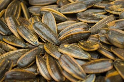 胃炎患者能不能吃瓜子？医生：更不能吃的食物你或许没关注