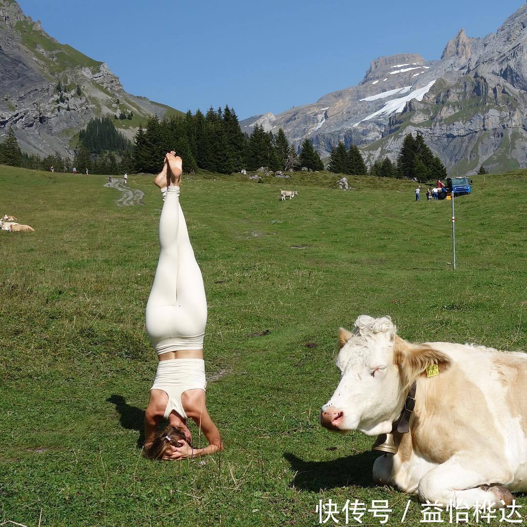 臀部|瑜伽减肥的七个简单体式，已刷屏朋友圈，坚持一个月你也可以瘦
