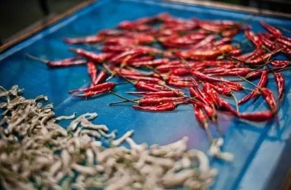 不能进微波炉的13样东西,赶紧看!