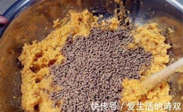 空军|夏季钓鲤鱼,这三个技巧尤其重要,影响了“空军”还是“爆护”