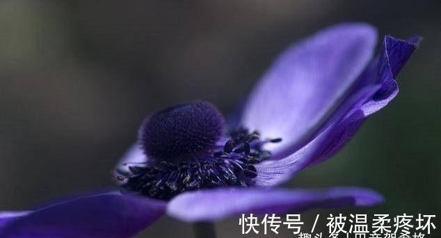 逆袭|属虎人!9·21日起财运大逆袭,够用2021年一整年,数钱到手软!