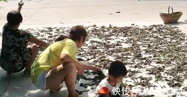 芝麻|这种菜,很多人都只吃种子,其实叶子才是宝贝,很多人想买买不到