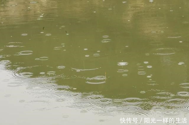 夏季野钓该钓远还是钓近了解鱼儿一日三迁，鱼竿长短好选择