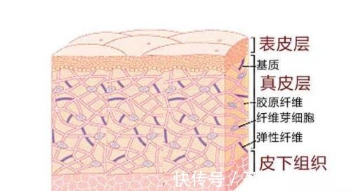 肚子|怀孕趁肚子没大,赶紧预防妊娠纹!别心疼钱,比产后修复划算多了