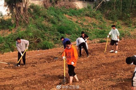 劳动课|必修课！武汉一大学开出8亩地教学生种菜