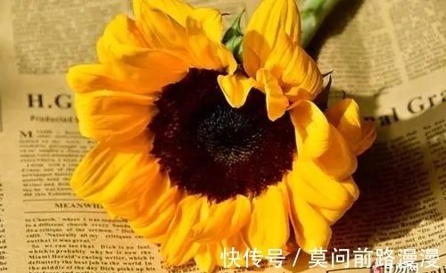 旺盛|过了9月9日后,好运来临,财运旺盛,财神呵护,人生再也忧愁