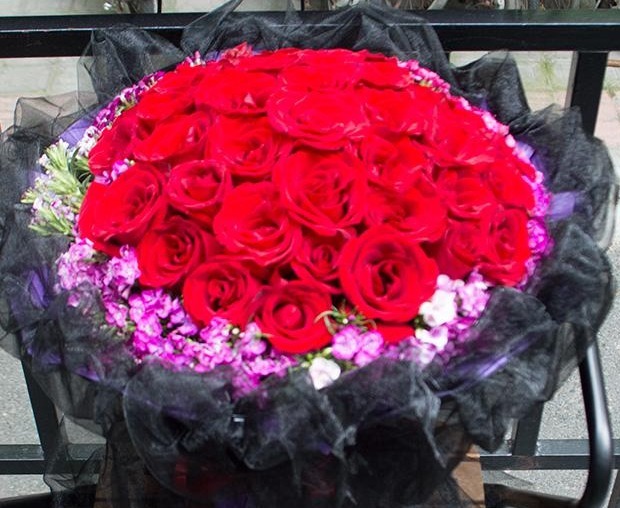 养花就养热情奔放的，头戴“花中皇后”桂冠，花开正红色，美爆了