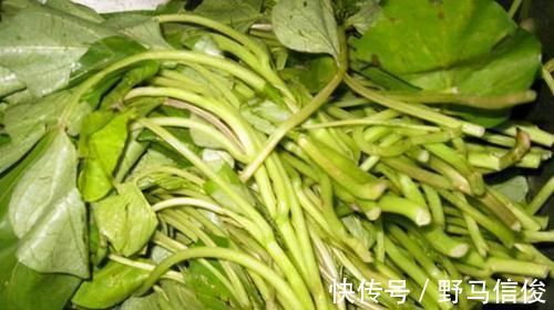 芹菜|人到中年想养生，3种食物轮着吃，排毒养颜、美白肌肤、抗衰老