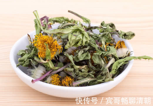 本草纲目|李时珍蒲公英加一物，连喝7天肾脏变强，口臭消失，肝泡干净了