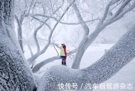 雾凇|自驾长白山冰雪世界