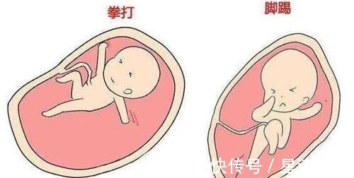 胎儿|胎儿每天在妈妈肚子里忙什么?除了吃和睡,他们有好多事情要忙!