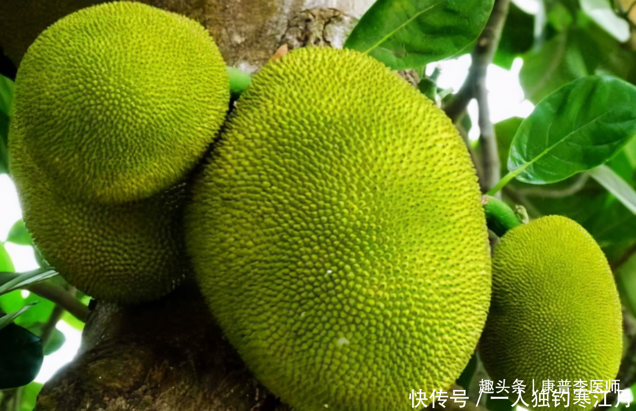 建议|人到中年想长寿，建议吃以下食物，美容养颜、滋养肌肤，谁吃谁好