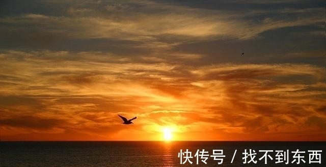 五绝|李商隐一首经典五绝《天涯》，无一字不唯美，无一字不伤悲