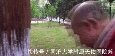 大回环|大爷大妈“挂满”枝头?多的是你不知道的危险!