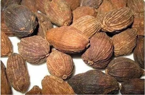 野钓|入秋后,钓鱼根本不用打窝!野钓用这些,水底的鱼全被你钓光了