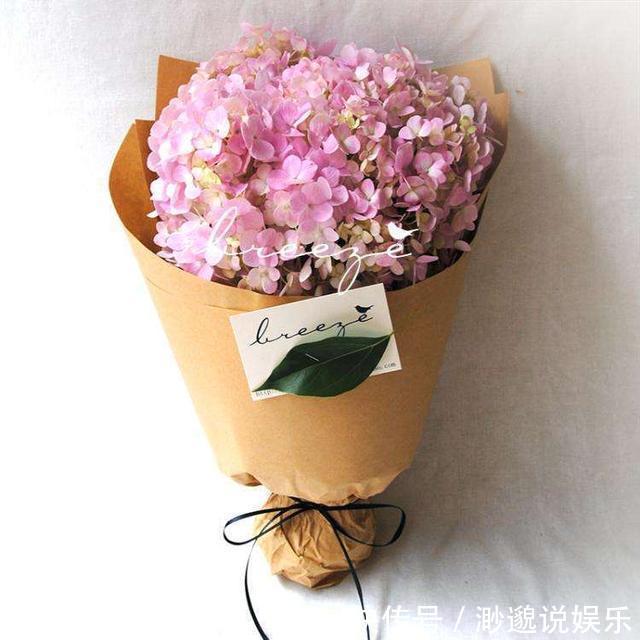 绣球|花店看中的绣球“买不起”用3cm的枝条，回家自己扦插，准活！