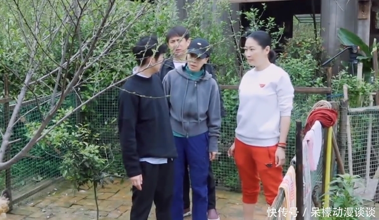 鸡窝 下期《向往5》热闹了,那英梁静来做客,洗碗掏蛋全不落,追定了