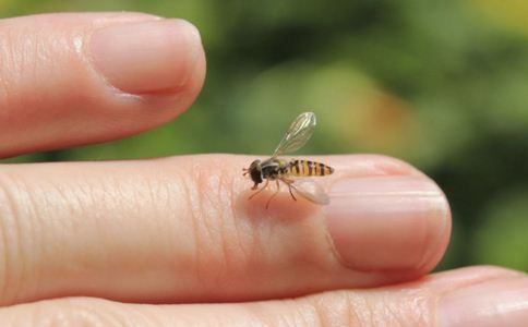 月牙|为什么有的人指甲上有月牙?有的人一个都没有?科学的解释来了