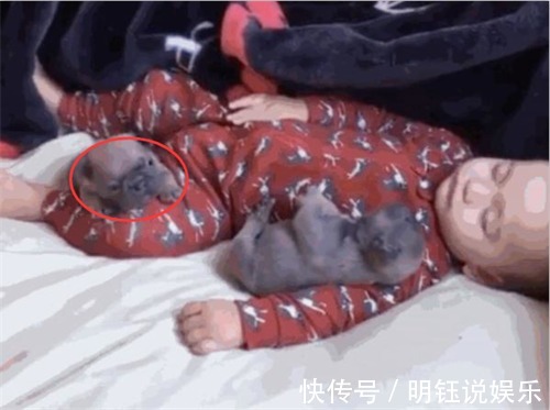 宝宝|宝宝午睡竟没哭闹,宝妈放心不下偷偷观察,开门一看笑岔气