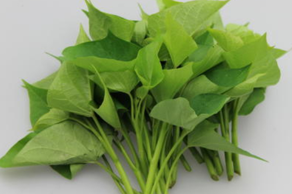 荠菜|农村被埋没的4种野菜,比蒲公英好100倍,尤其适合老年人