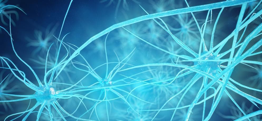 老人|126岁的长寿老人,首谈长寿诀窍,就两点,可惜能做到的人很少