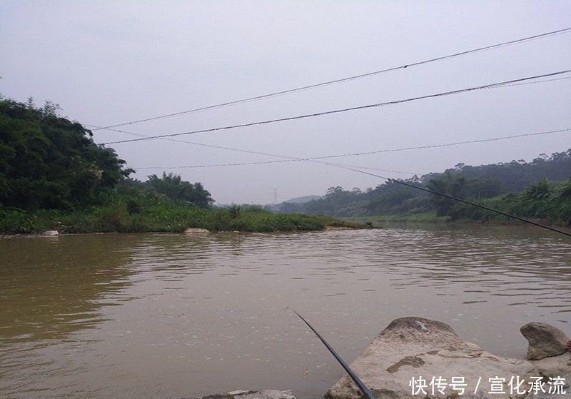 钓鱼|别人钓到鱼,你却钓不到,原因都在这里了,想知道的别错过